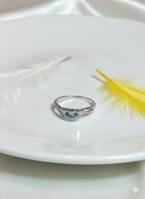 The Pave Arch Ring